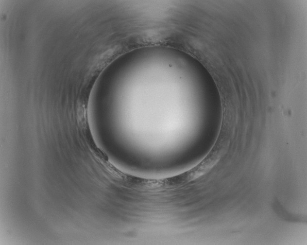 X0000073860624200608101252