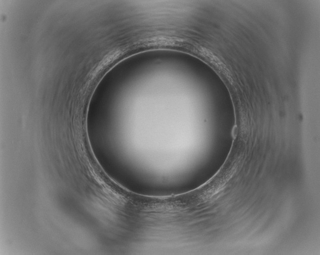 X0000073860625200608101251