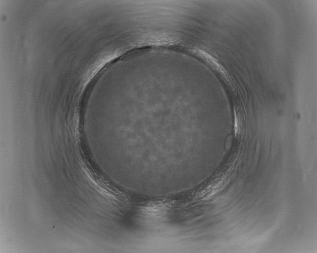 X0000073860627200608101251