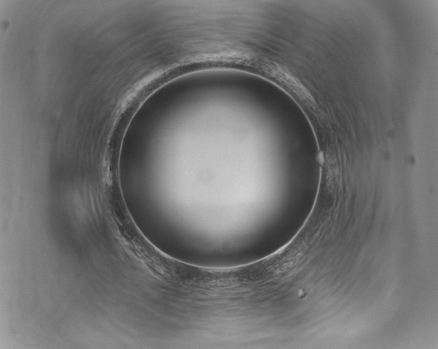 X0000073860628200608101251