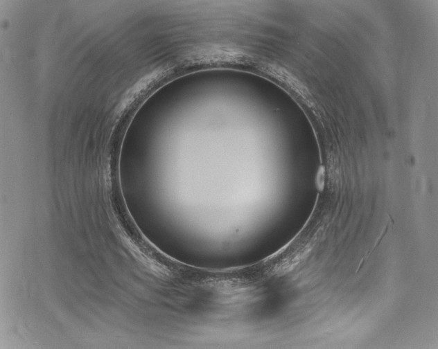 X0000073860629200608101251