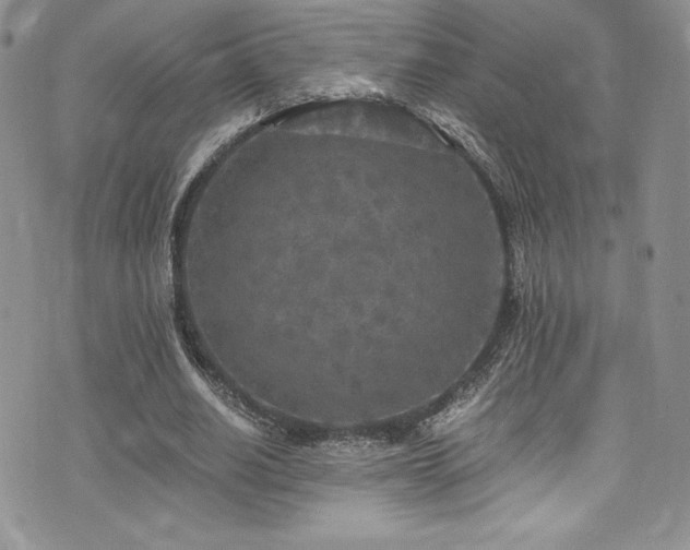 X0000073860630200608101251