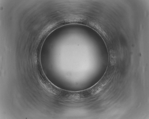 X0000073860631200608101251