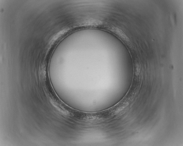 X0000073860632200608101251