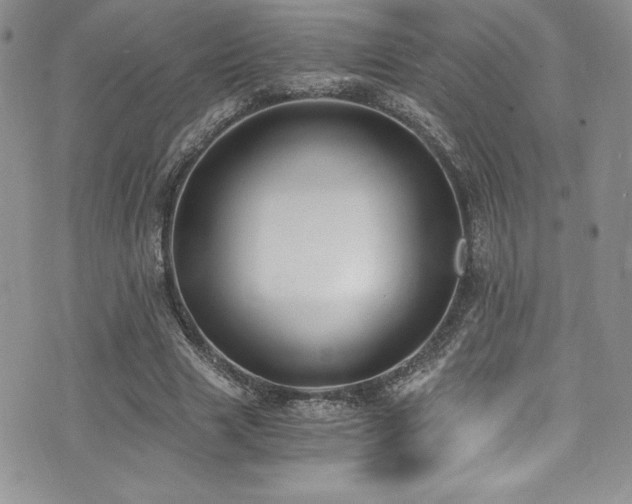 X0000073860633200608101251