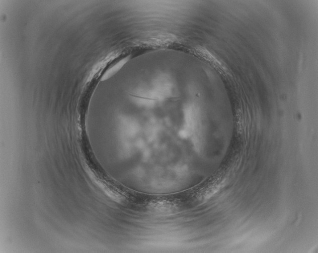 X0000073860634200608101251