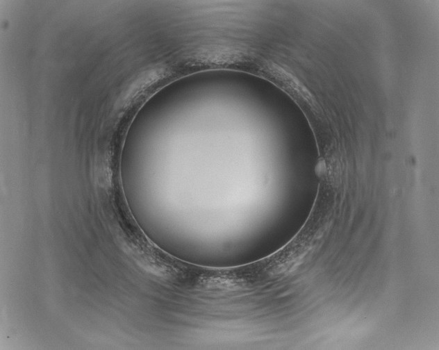 X0000073860635200608101251