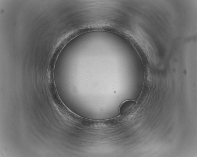 X0000073860636200608101251