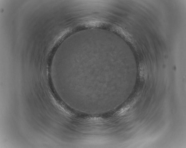 X0000073860637200608101251