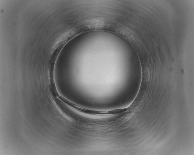 X0000073860638200608101251