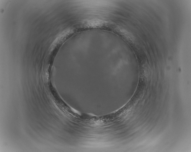 X0000073860640200608101251