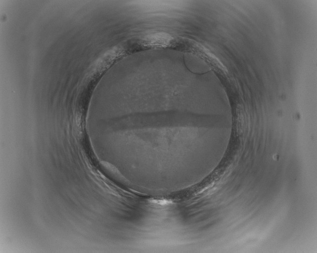 X0000073860641200608101251