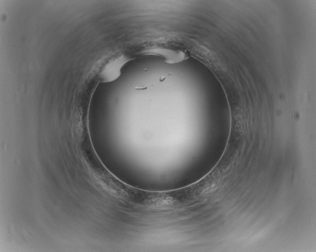 X0000073860642200608101251