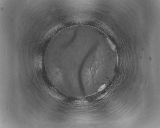 X0000073860644200608101251