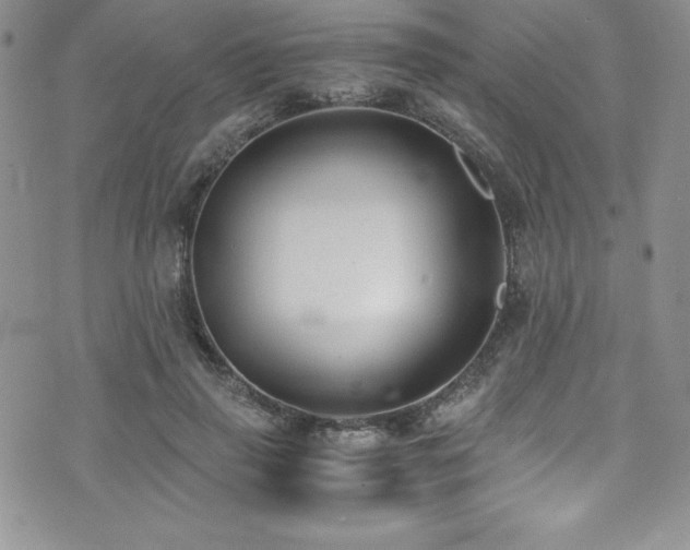 X0000073860645200608101251