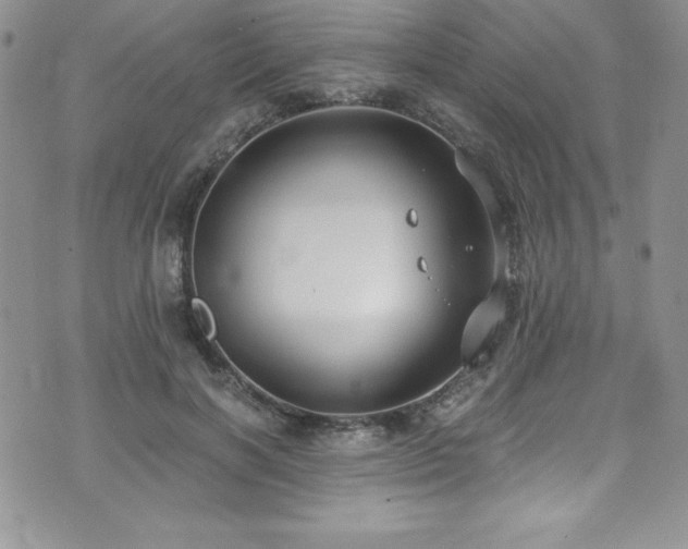 X0000073860646200608101251