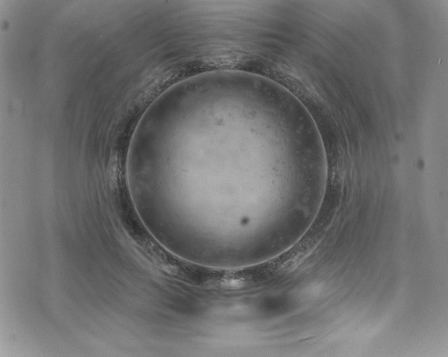 X0000073860647200608101251