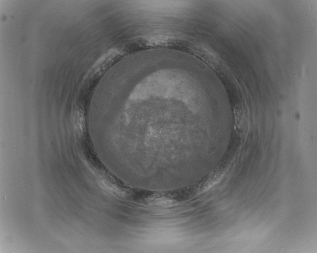 X0000073860648200608101251