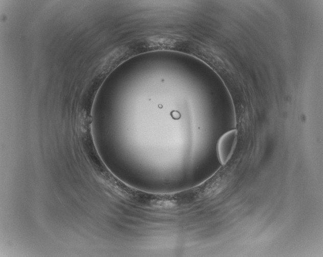 X0000073860649200608101251