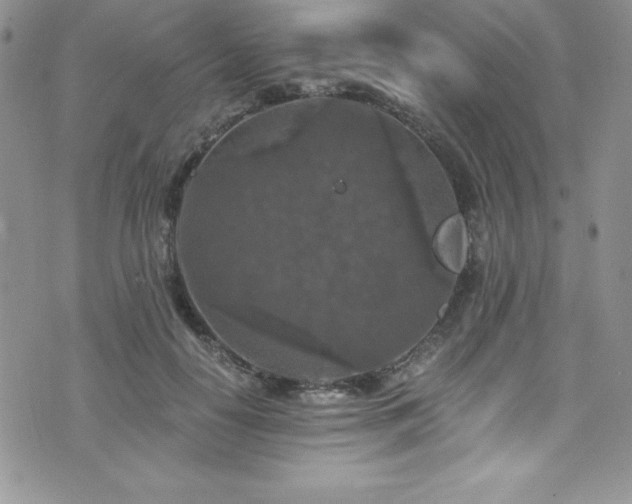 X0000073860650200608101251