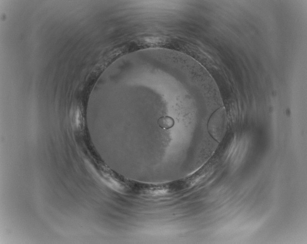 X0000073860651200608101251