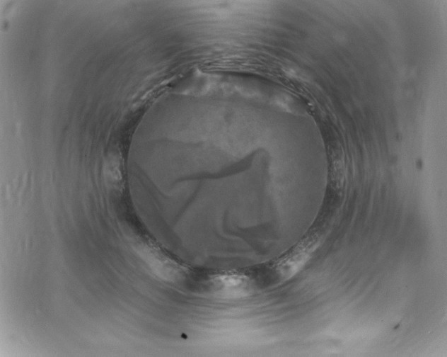 X0000073860654200608101251