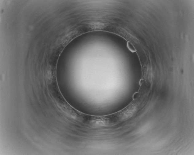 X0000073860655200608101252