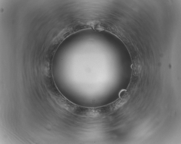 X0000073860656200608101252