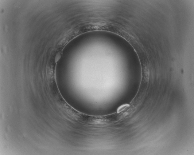 X0000073860657200608101252