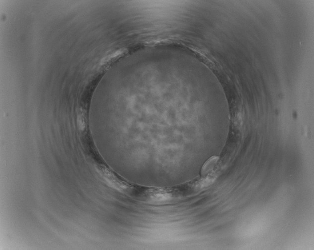 X0000073860658200608101252