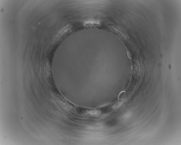 X0000073860659200608101252