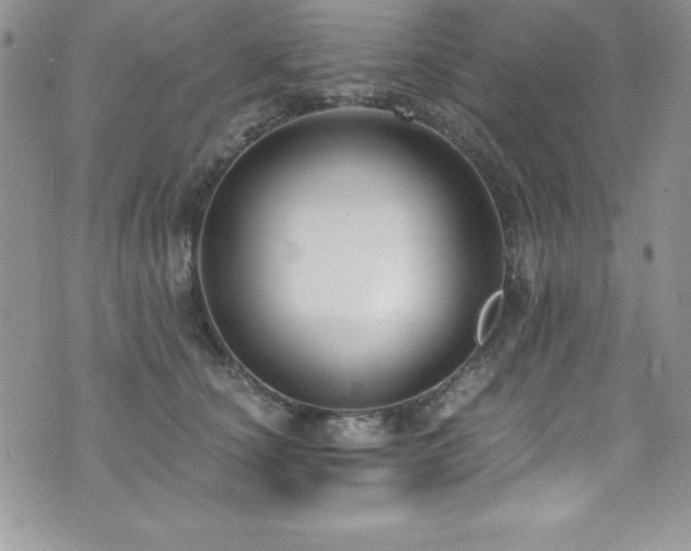 X0000073860660200608101252