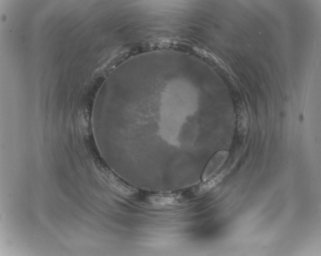 X0000073860661200608101252