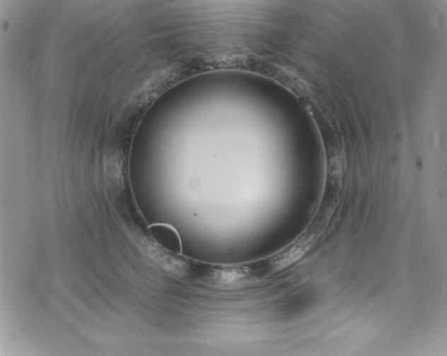 X0000073860662200608101252