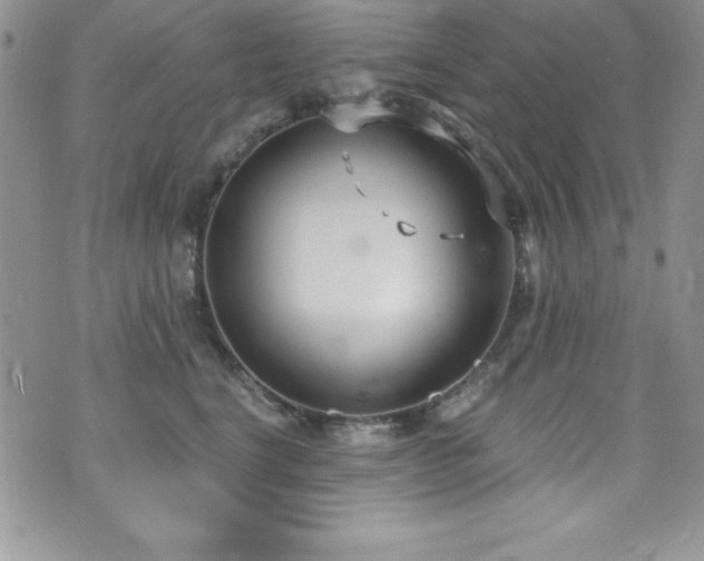 X0000073860664200608101252