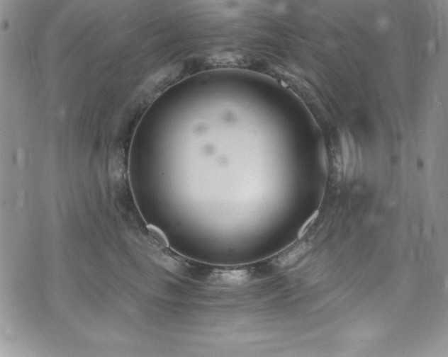 X0000073860665200608101252