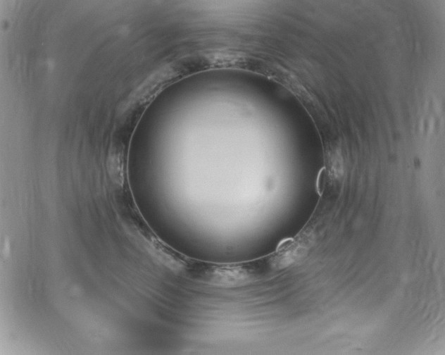 X0000073860666200608101252