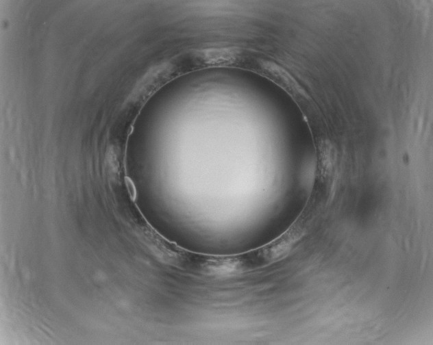 X0000073860667200608101252