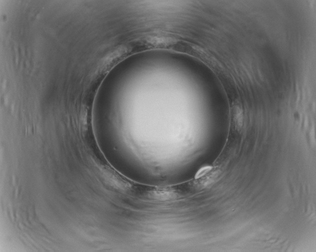 X0000073860668200608101252