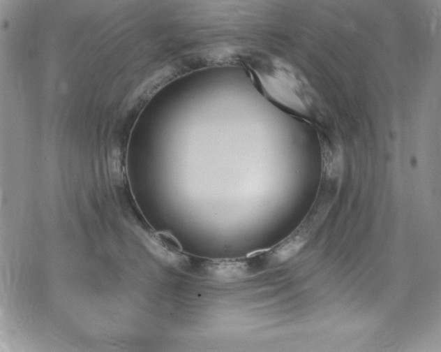 X0000073860670200608101252