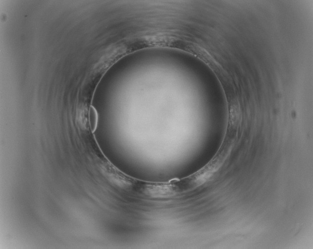 X0000073860671200608101252