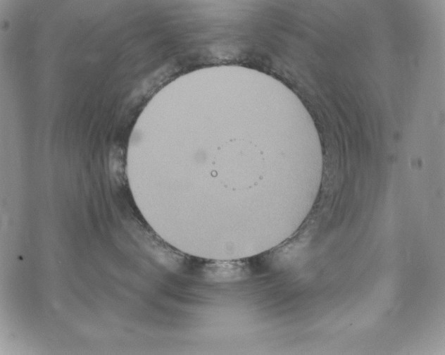 X0000073860672200608101252