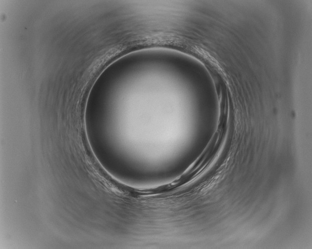 X0000073860673200608101251