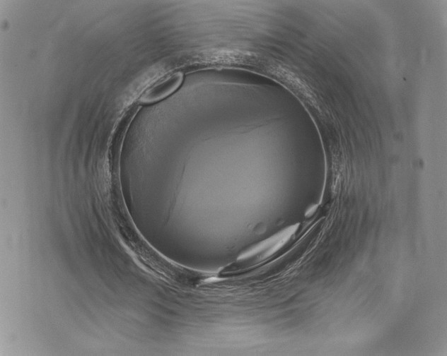 X0000073860674200608101251