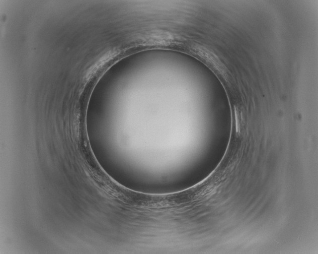 X0000073860675200608101251