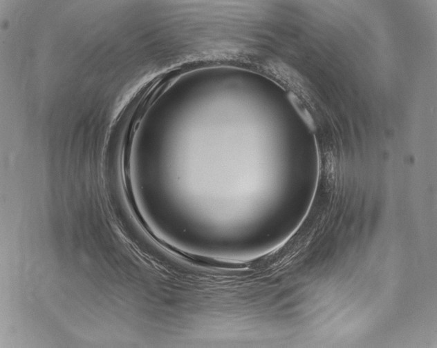 X0000073860676200608101251