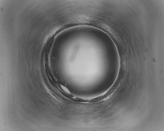 X0000073860677200608101251