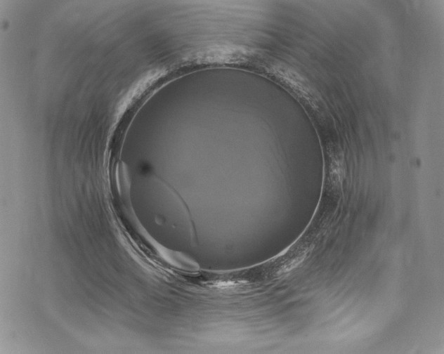 X0000073860678200608101251