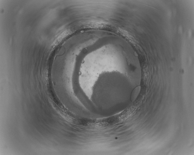 X0000073860679200608101251