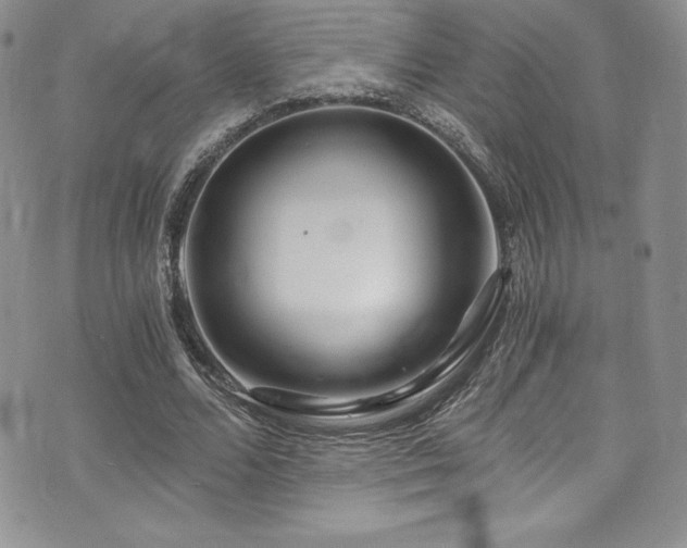 X0000073860680200608101251